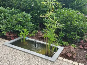 Recheckiges Teichbecken mit Bepflanzung und Sprudelquell im Garten